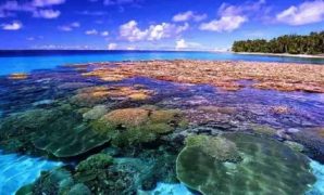 Eksplorasi Pulau Bunaken: Keindahan Alam dan Kehidupan Laut yang Mengejutkan!