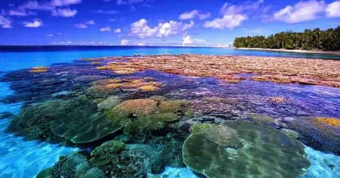 Eksplorasi Pulau Bunaken: Keindahan Alam dan Kehidupan Laut yang Mengejutkan!