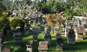 Menguak Rahasia Waruga: Makam Kuno yang Menyimpan Sejarah Minahasa!